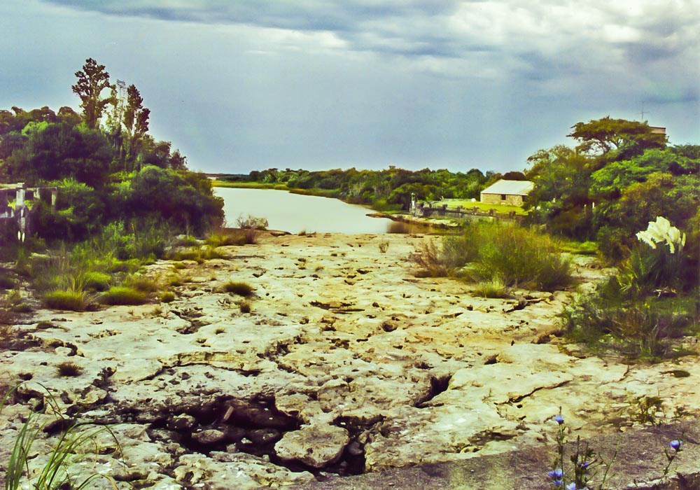 El Arroyo Víboras con el cause seco después hacia la desembocadura luego del Puente Castell.
